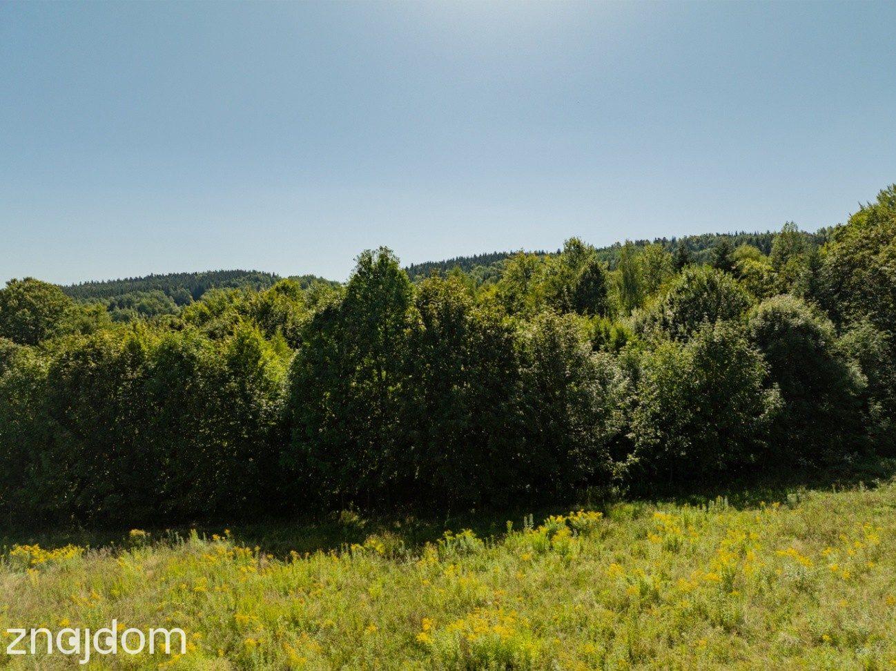 9 908 m² | zabudowa mieszkaniowa jednorodzinna | Skawinki - zdjęcie 17