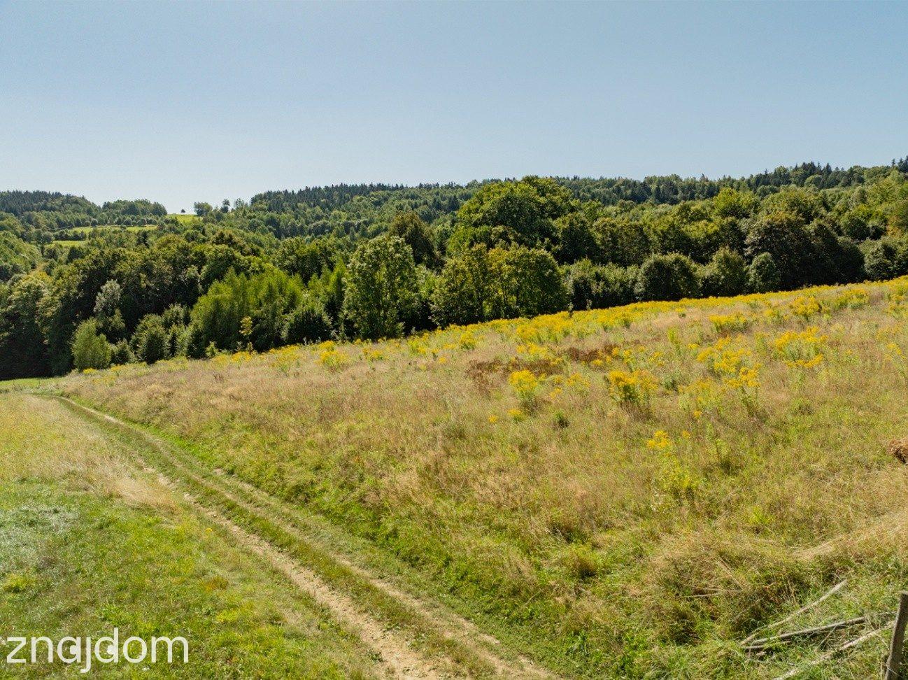 9 908 m² | zabudowa mieszkaniowa jednorodzinna | Skawinki - zdjęcie 24