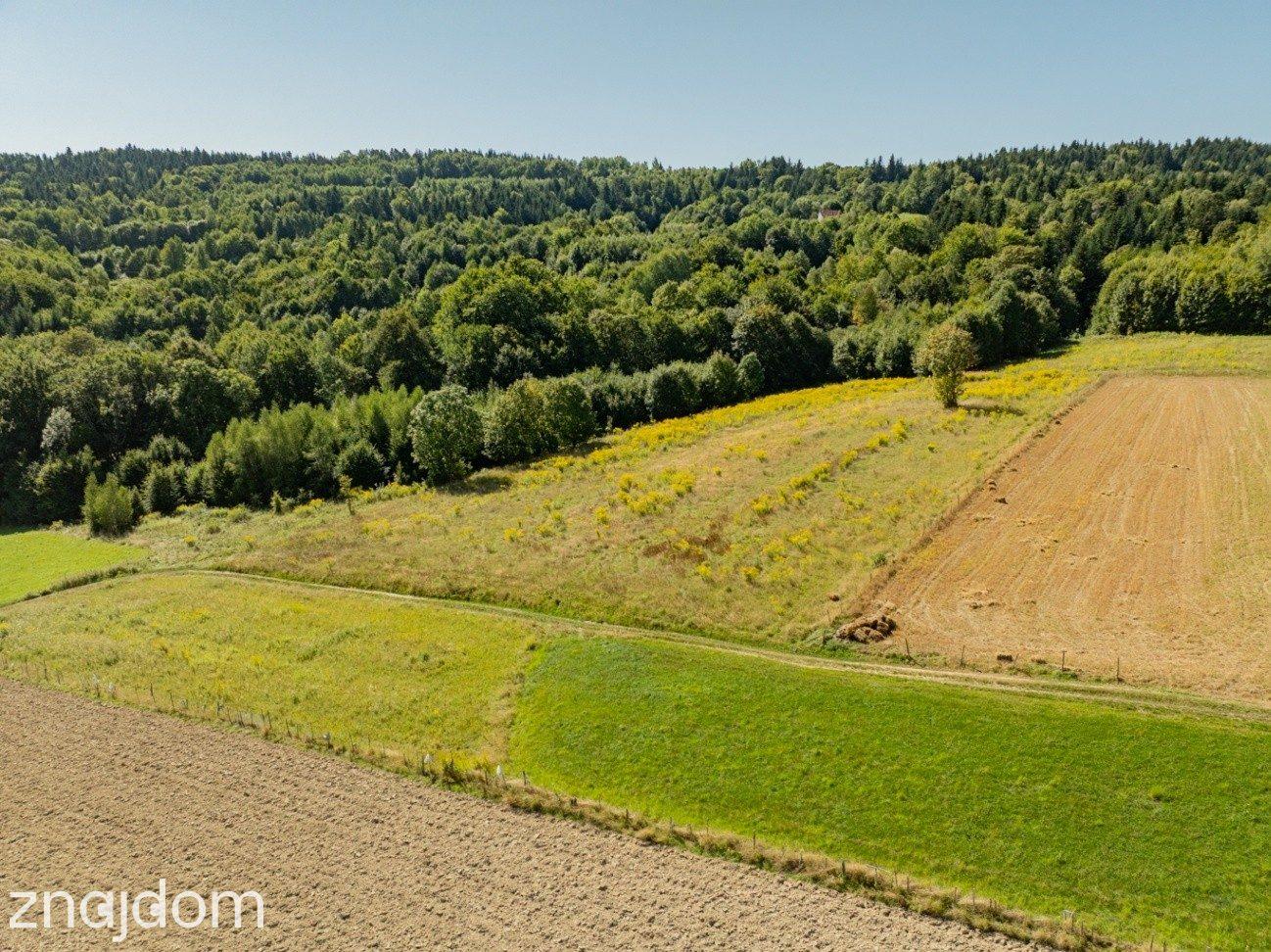 9 908 m² | zabudowa mieszkaniowa jednorodzinna | Skawinki - zdjęcie 25