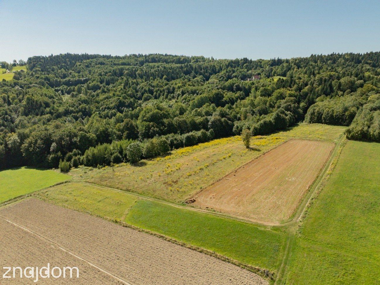 9 908 m² | zabudowa mieszkaniowa jednorodzinna | Skawinki - zdjęcie 27