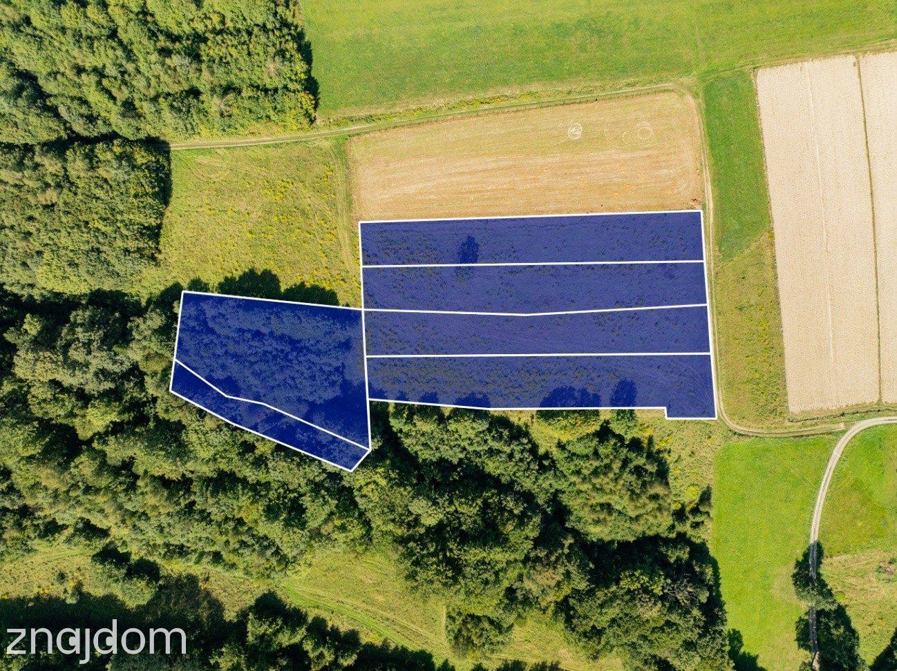 9 908 m² | zabudowa mieszkaniowa jednorodzinna | Skawinki - zdjęcie 3