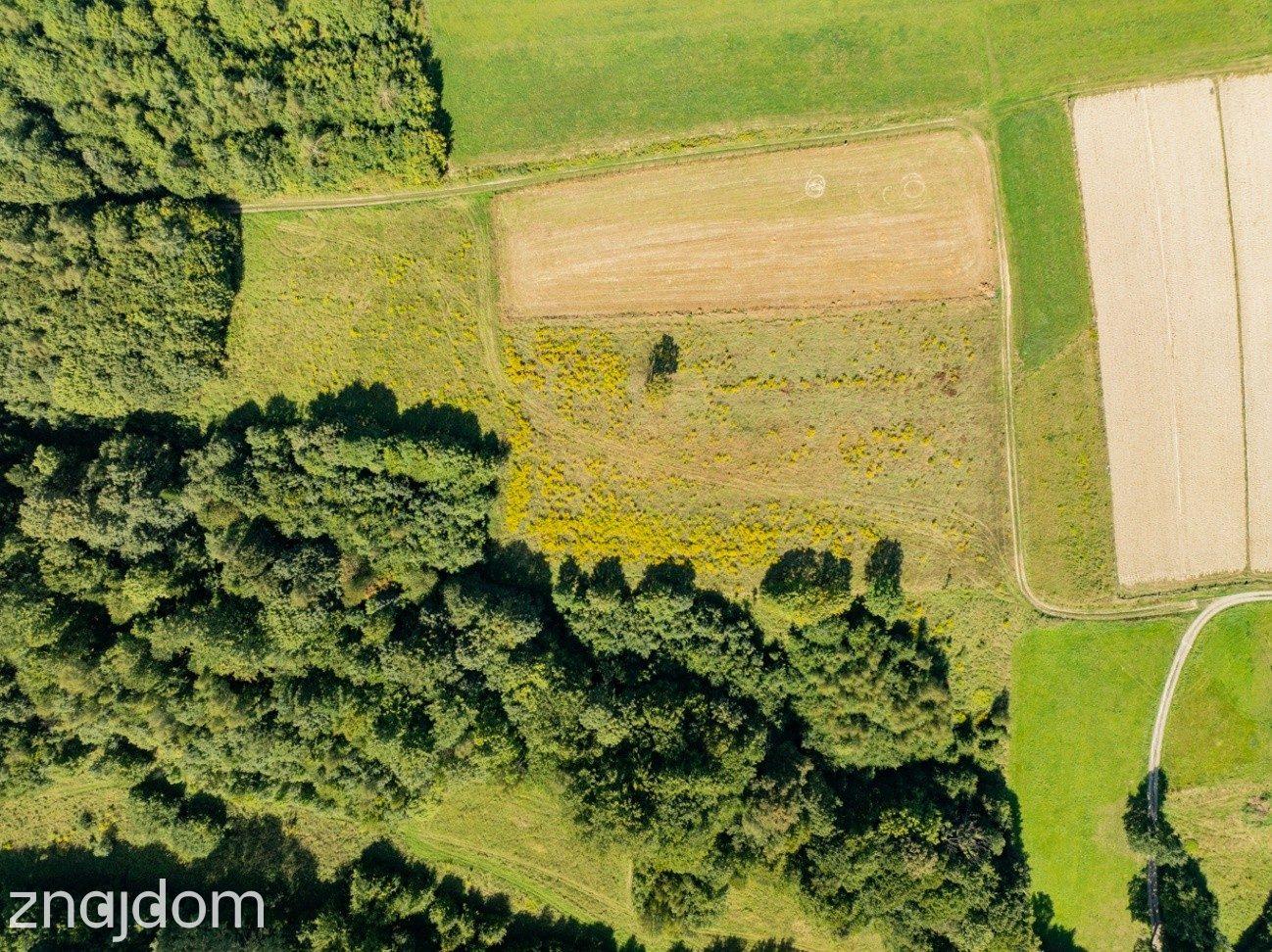 9 908 m² | zabudowa mieszkaniowa jednorodzinna | Skawinki - zdjęcie 9