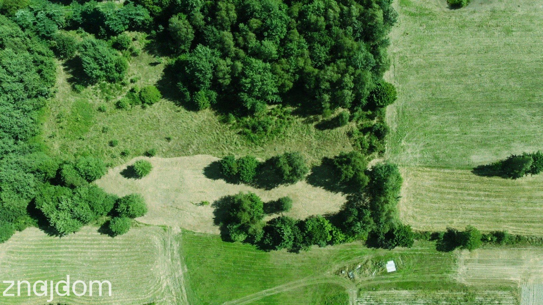 Działka rolna z dopuszczeniem zabudowy zagrodowej | 2393 m2 - zdjęcie 2