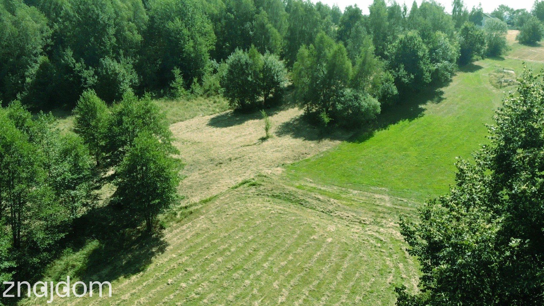 Działka rolna z dopuszczeniem zabudowy zagrodowej | 2393 m2 - zdjęcie 3