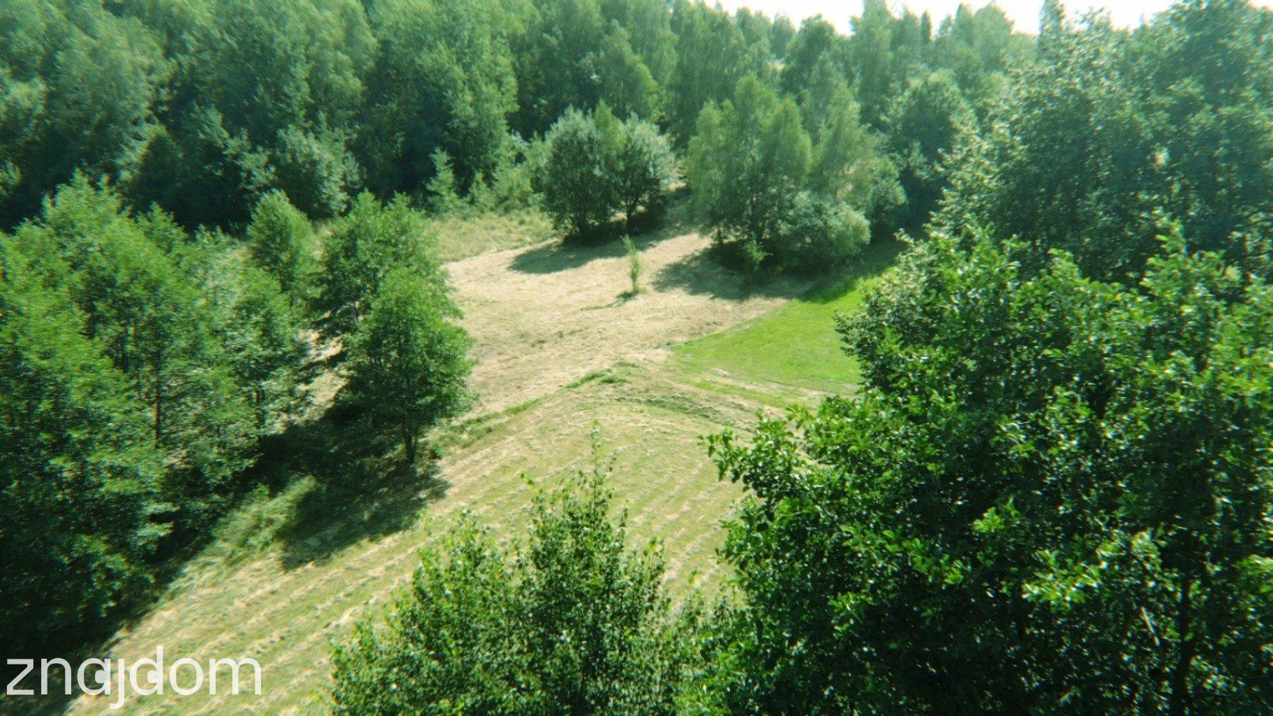 Działka rolna z dopuszczeniem zabudowy zagrodowej | 2393 m2 - zdjęcie 4