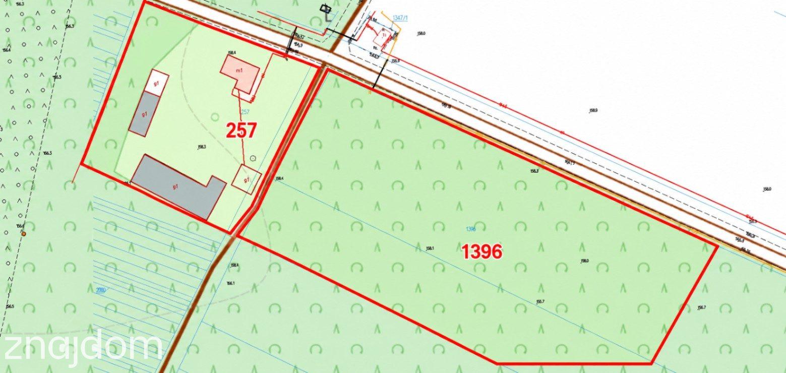 *Tchórzew 164 siedlisko z lasem i ogromnym potencjałem* - zdjęcie 15