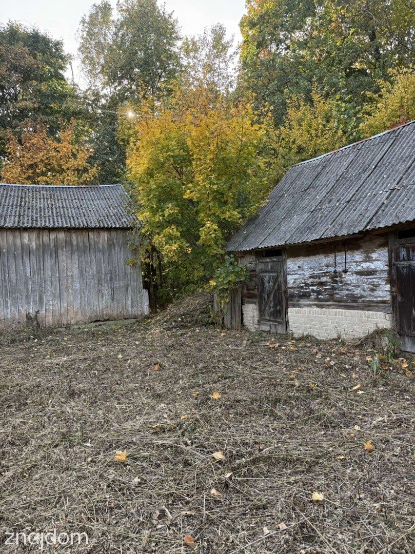 *Tchórzew 164 siedlisko z lasem i ogromnym potencjałem* - zdjęcie 11