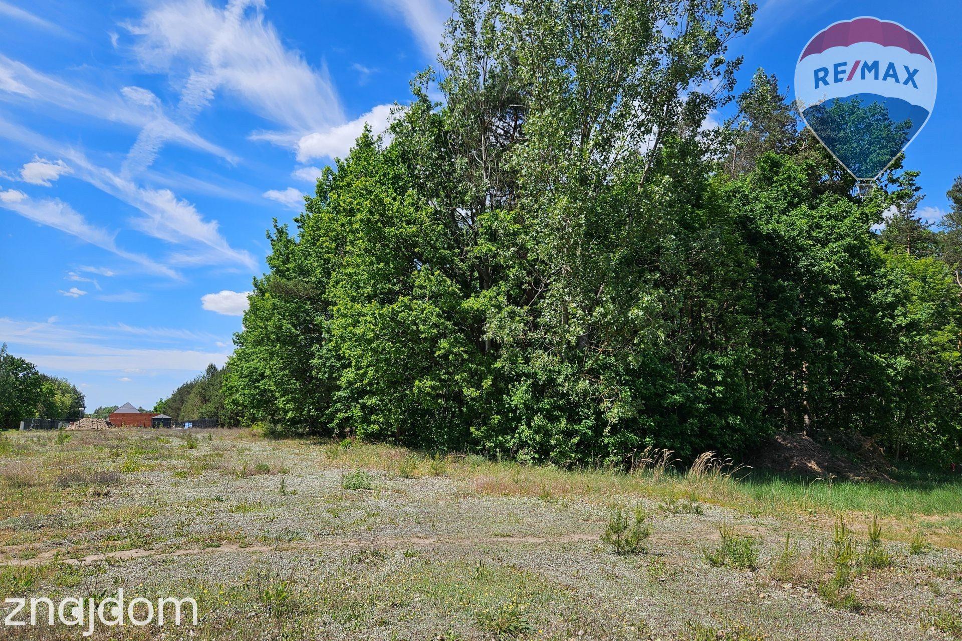 Działka budowlana 2630m2 z własnym lasem - zdjęcie 4