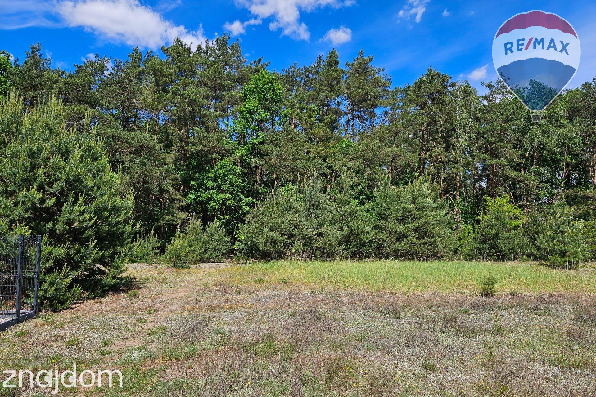 Działka budowlana 2630m2 z własnym lasem - zdjęcie 5