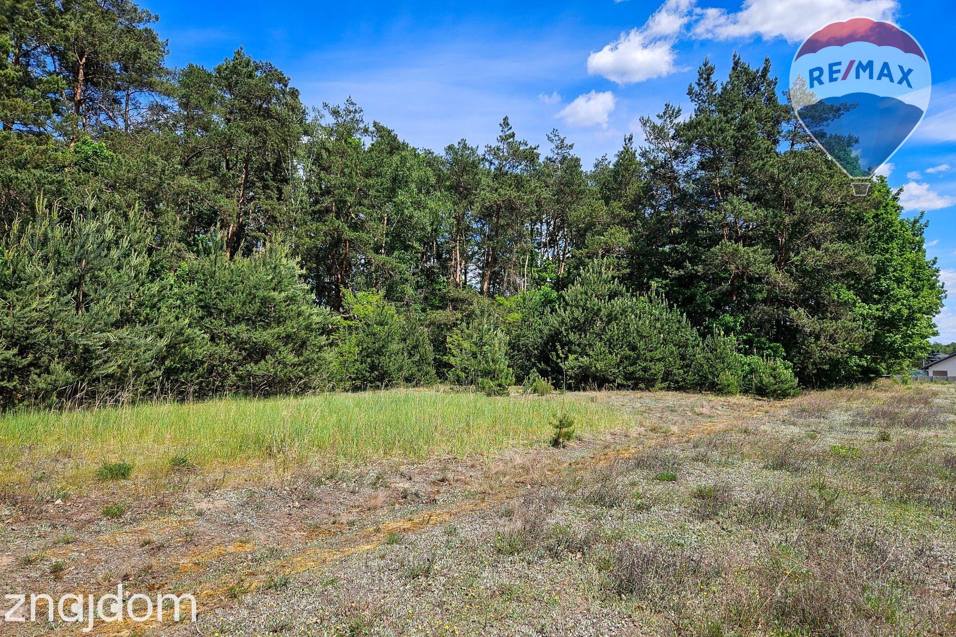 Działka budowlana 2630m2 z własnym lasem - zdjęcie 6
