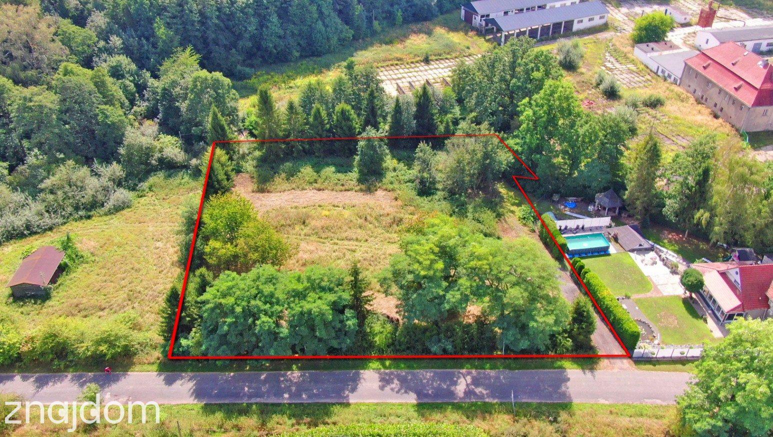 Działka 3701 m² Głubczyce ( Lwowiany ) | WZ | duży potencjał - zdjęcie 12