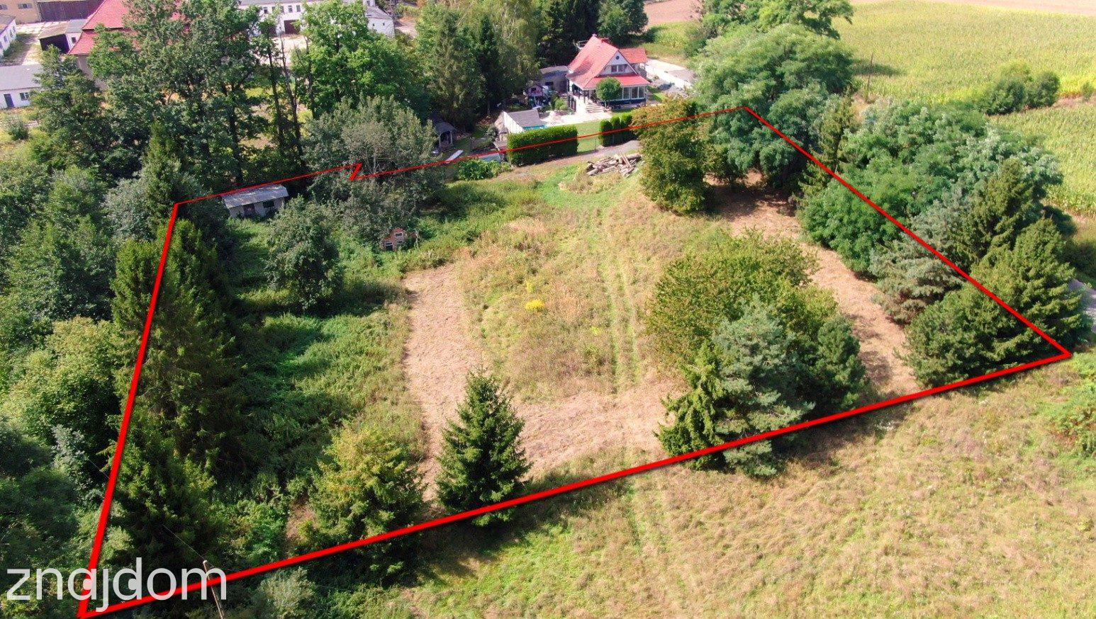 Działka 3701 m² Głubczyce ( Lwowiany ) | WZ | duży potencjał - zdjęcie 16