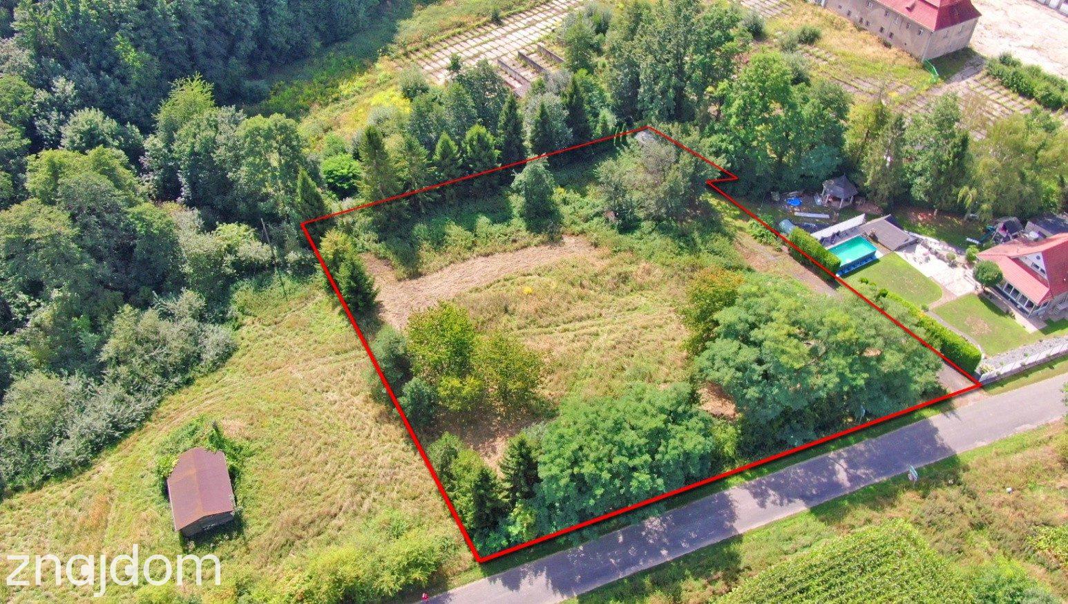 Działka 3701 m² Głubczyce ( Lwowiany ) | WZ | duży potencjał - zdjęcie 2