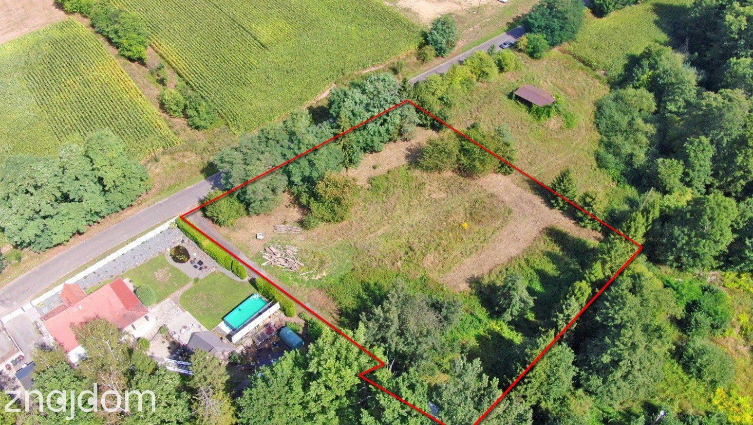 Działka 3701 m² Głubczyce ( Lwowiany ) | WZ | duży potencjał - zdjęcie 6