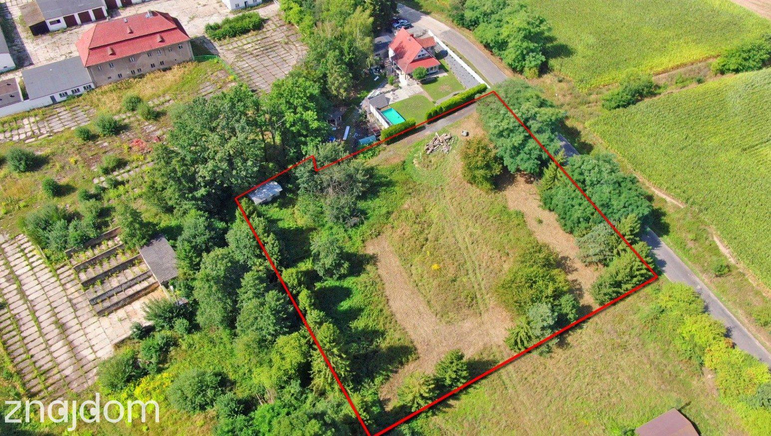 Działka 3701 m² Głubczyce ( Lwowiany ) | WZ | duży potencjał - zdjęcie 7