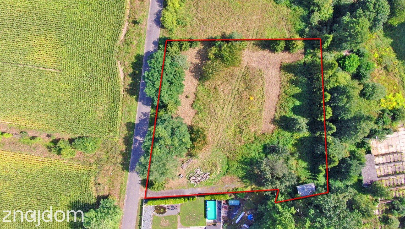 Działka 3701 m² Głubczyce ( Lwowiany ) | WZ | duży potencjał - zdjęcie 9