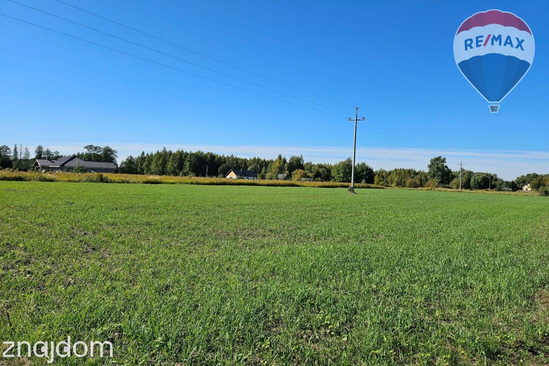 Działka budowlana 4180m2, Benenard, gm. Radziejowice - zdjęcie 2