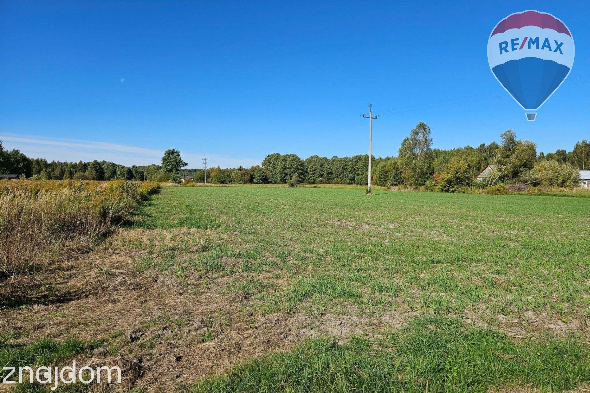 Działka budowlana 4180m2, Benenard, gm. Radziejowice - zdjęcie 6