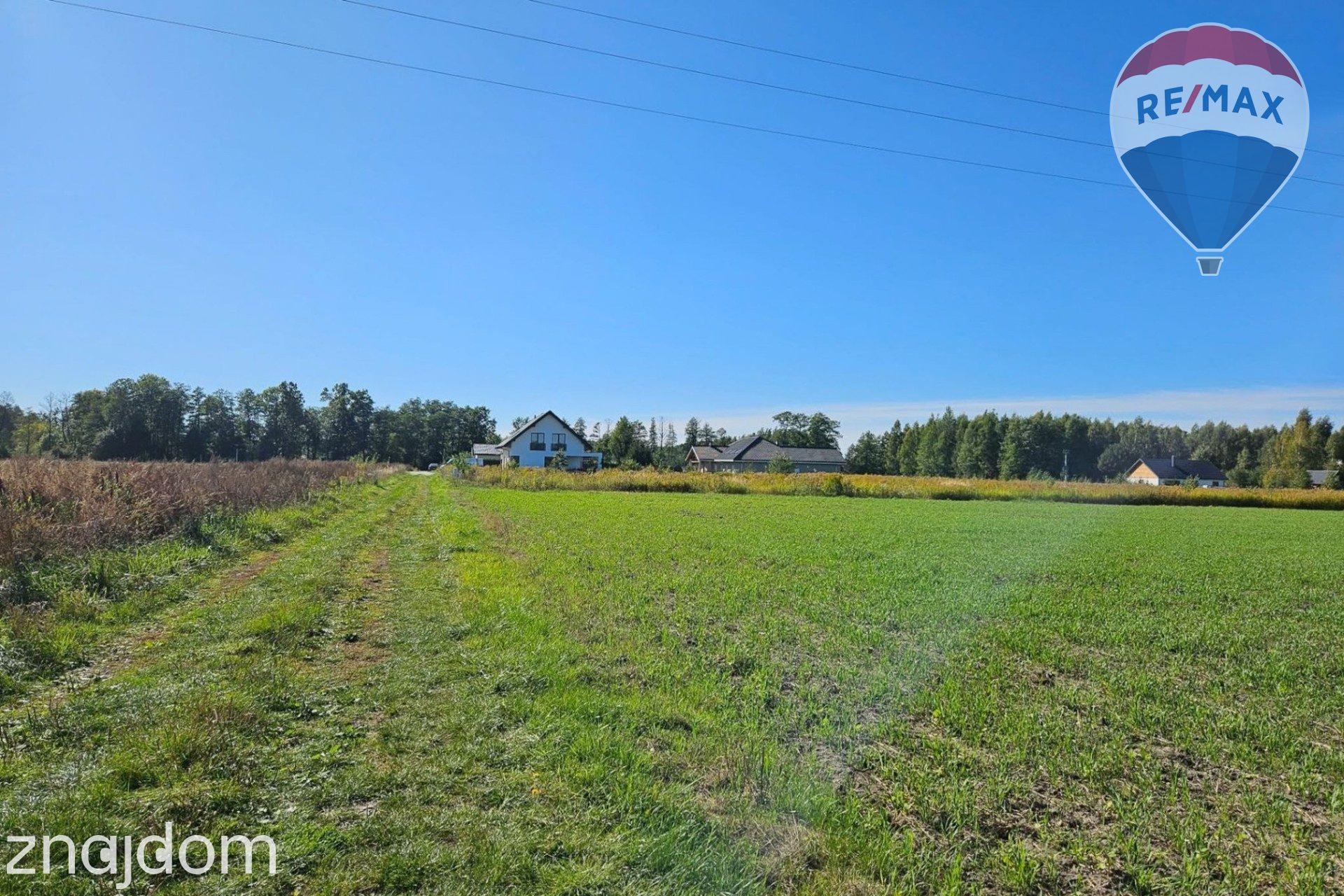 Działka budowlana 4180m2, Benenard, gm. Radziejowice - zdjęcie 7