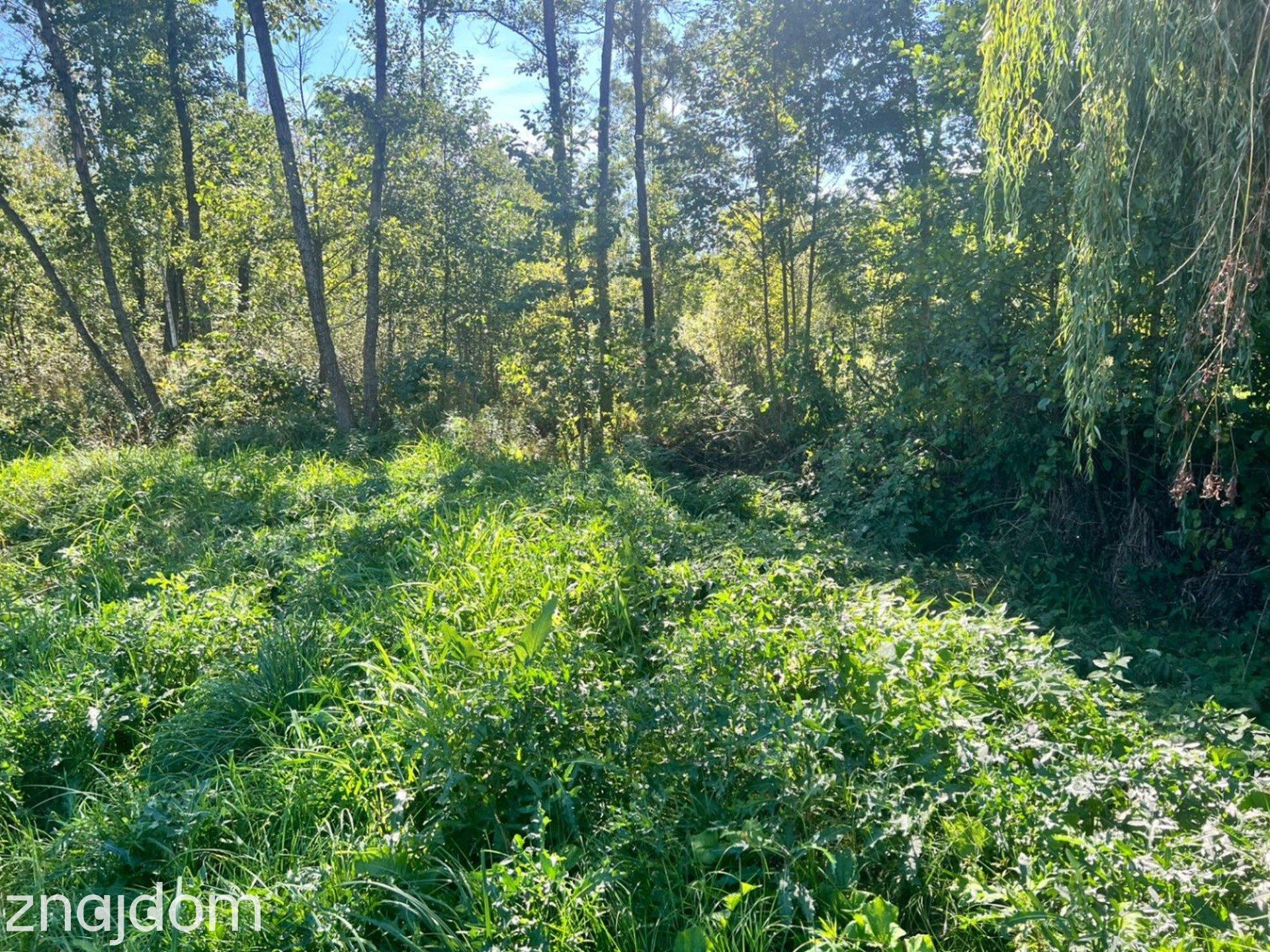 *Działka letniskowa*WZ*Grabniak*Urszulin*3002m2* - zdjęcie 17