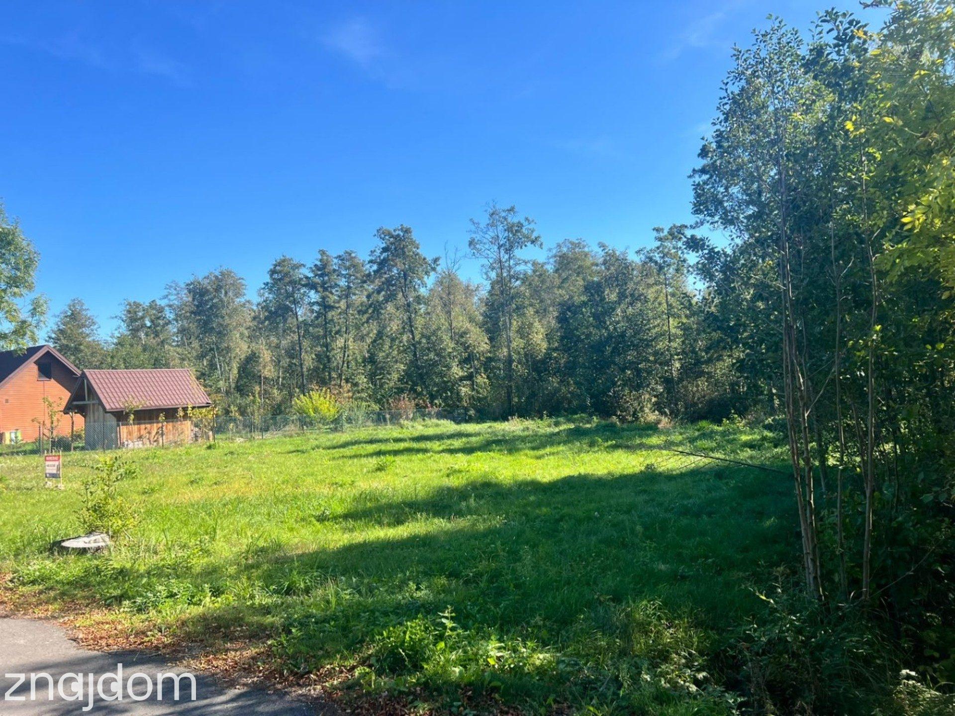 *Działka letniskowa*WZ*Grabniak*Urszulin*3002m2* - zdjęcie 3