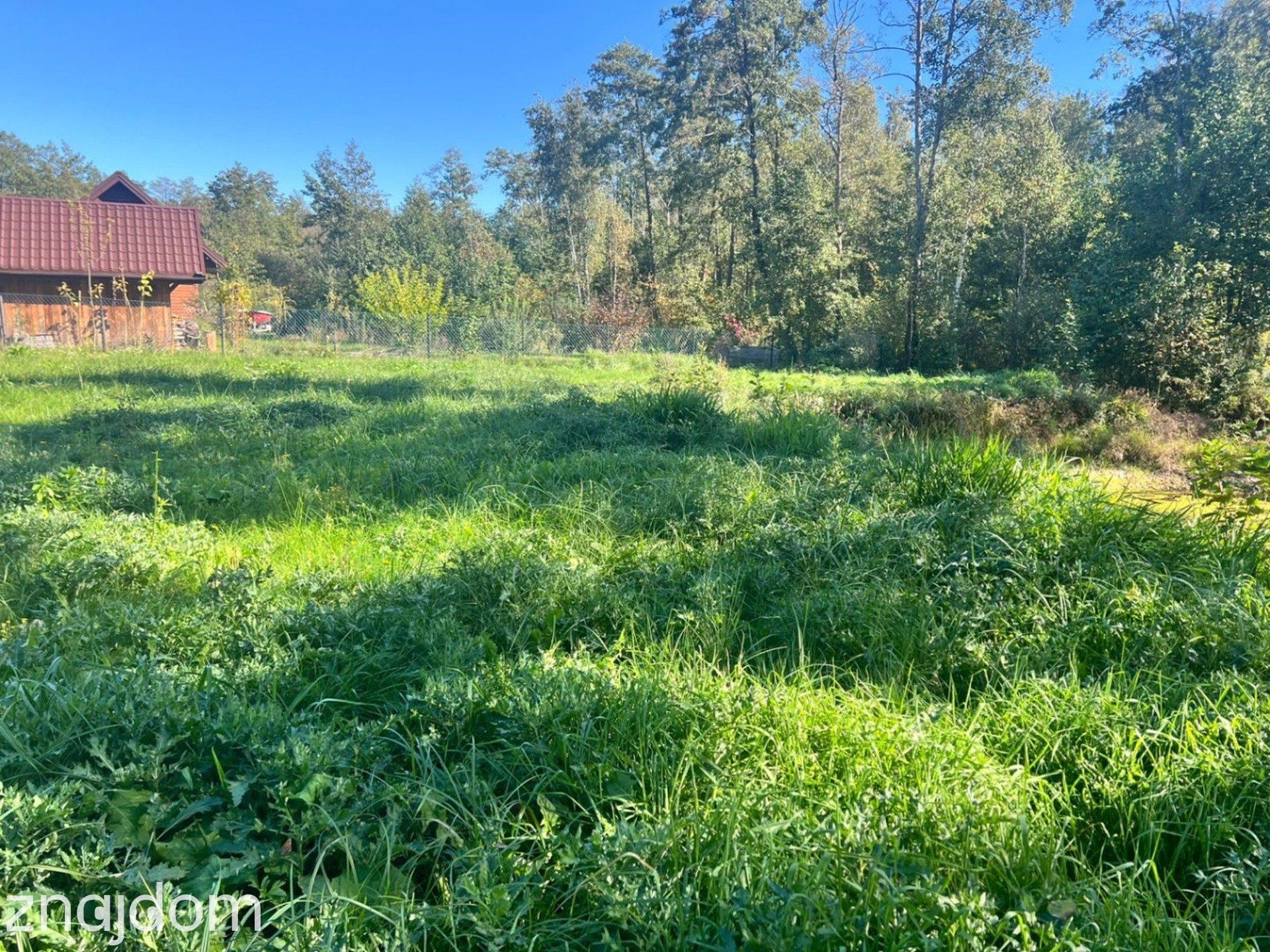 *Działka letniskowa*WZ*Grabniak*Urszulin*3002m2* - zdjęcie 5
