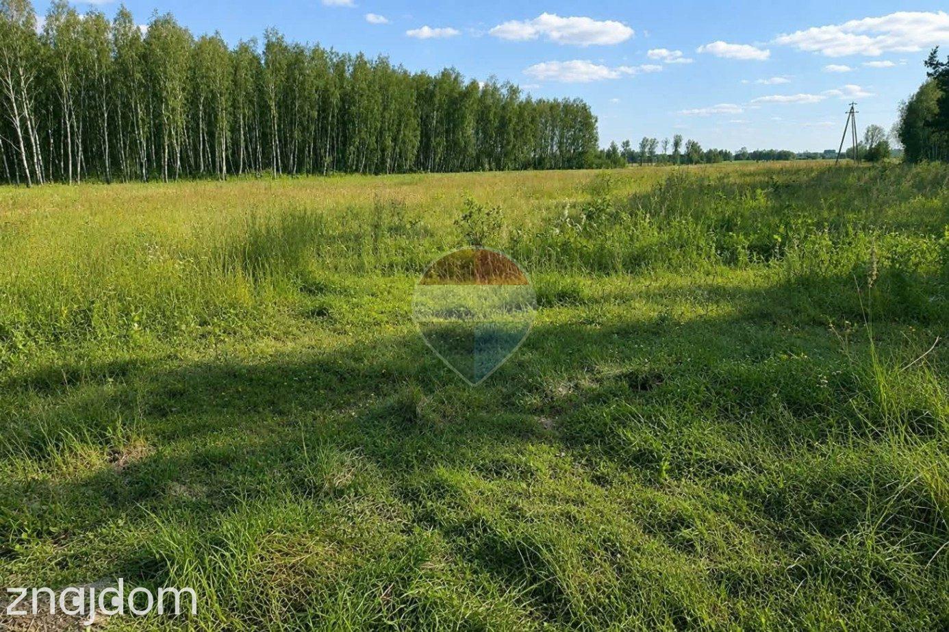 Ziemia rolna Wistka gm. Przysucha z możliwością zabudowy zagrodowej
