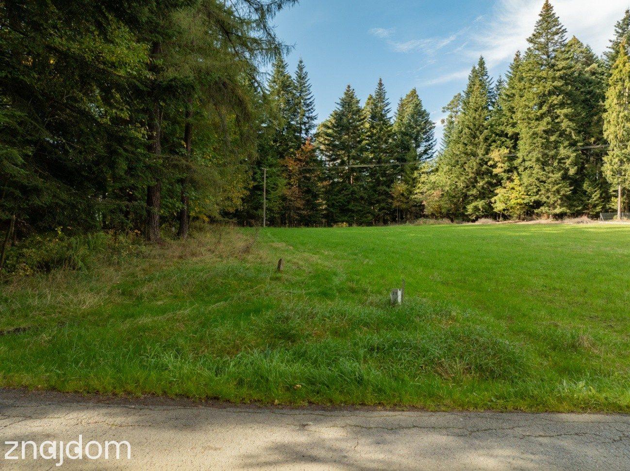 Działka Budowlana z Własnym LASEM–3565 M² JORDANÓW - zdjęcie 10