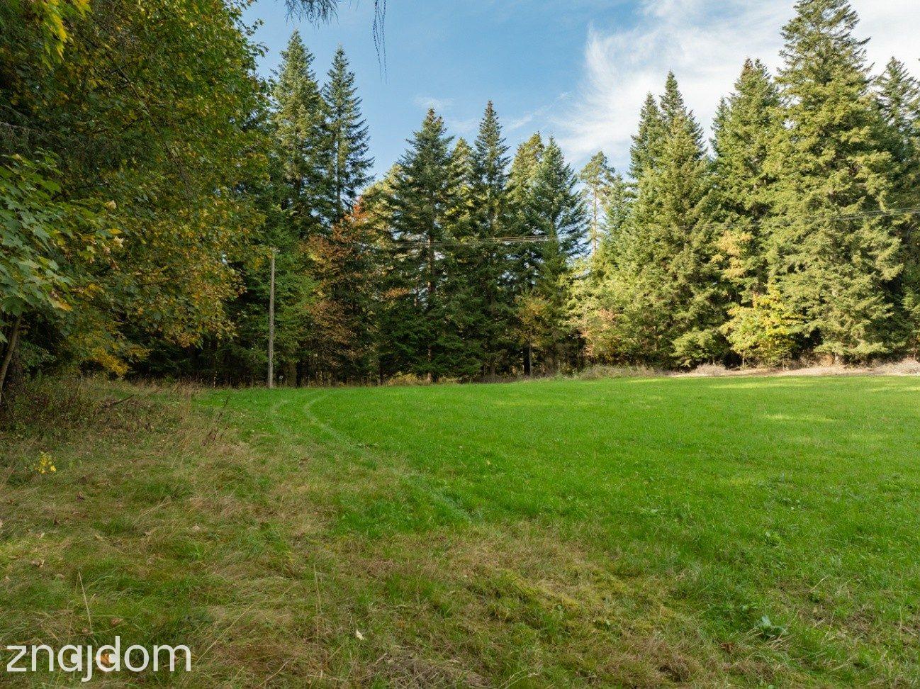 Działka Budowlana z Własnym LASEM–3565 M² JORDANÓW - zdjęcie 11