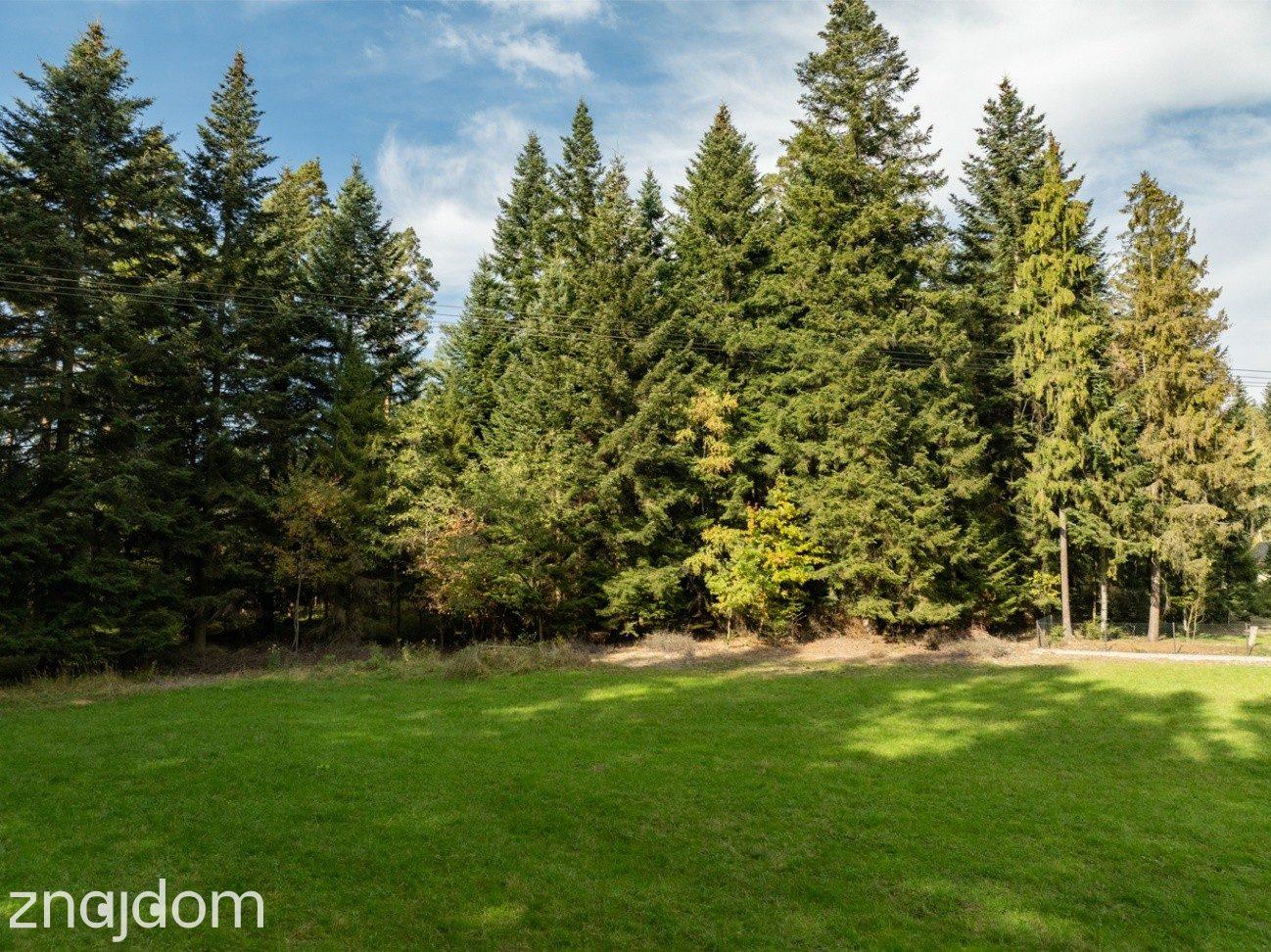 Działka Budowlana z Własnym LASEM–3565 M² JORDANÓW - zdjęcie 16