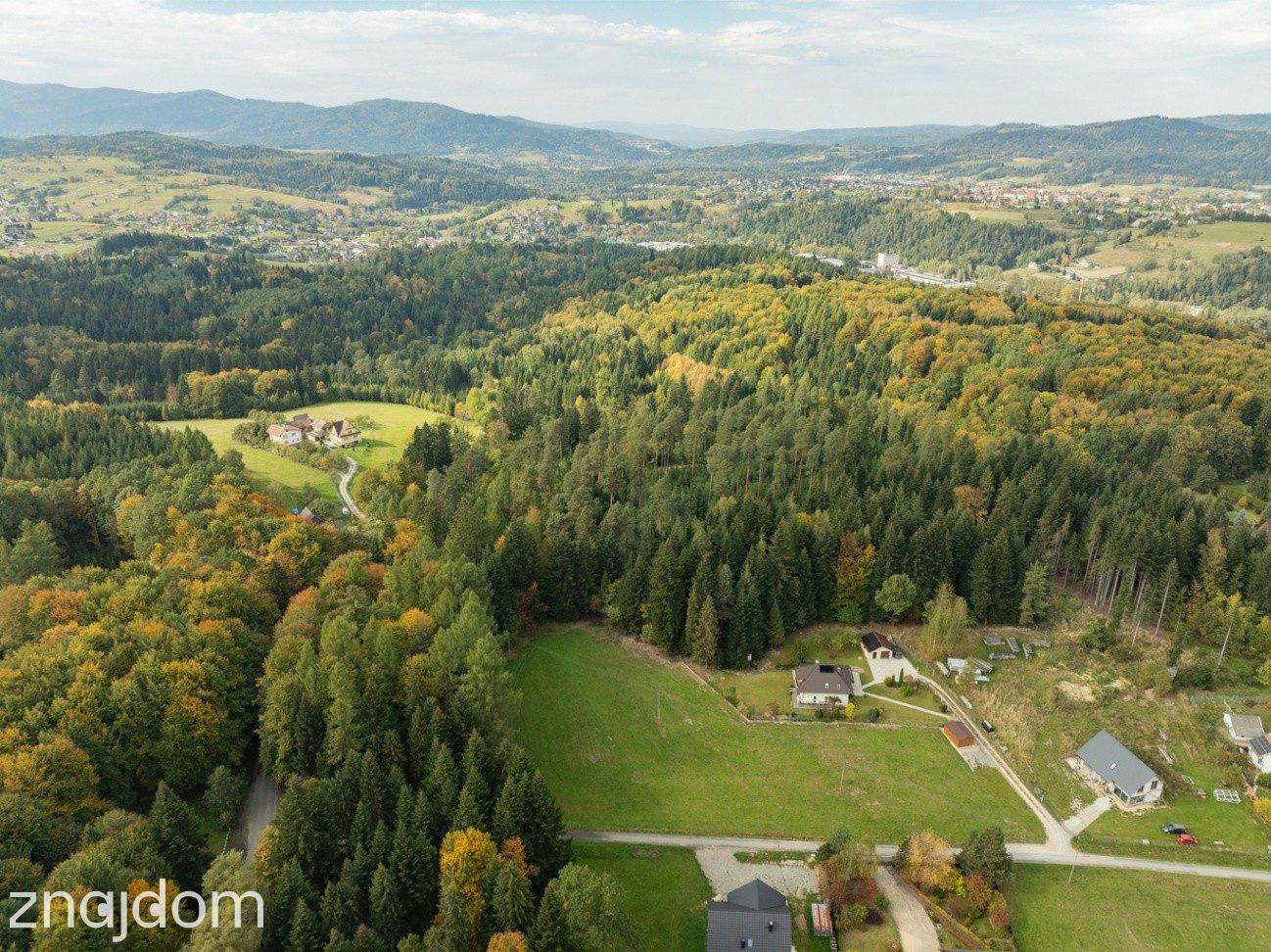 Działka Budowlana z Własnym LASEM–3565 M² JORDANÓW - zdjęcie 17