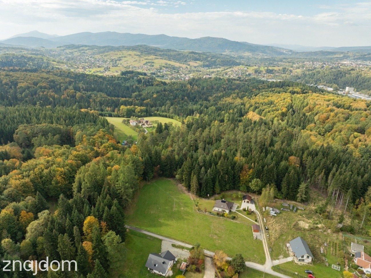 Działka Budowlana z Własnym LASEM–3565 M² JORDANÓW - zdjęcie 18