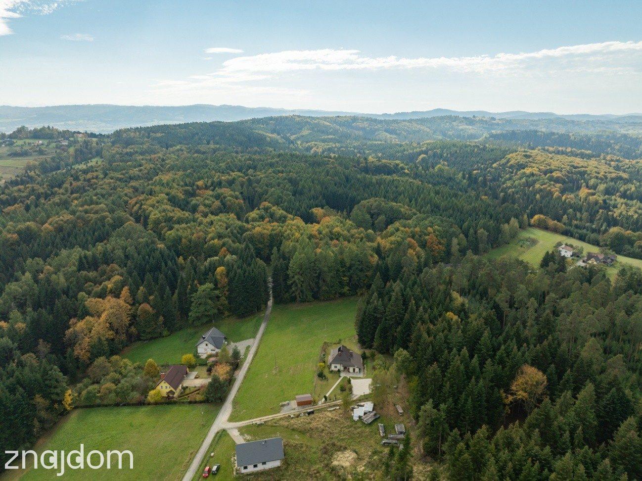 Działka Budowlana z Własnym LASEM–3565 M² JORDANÓW - zdjęcie 20