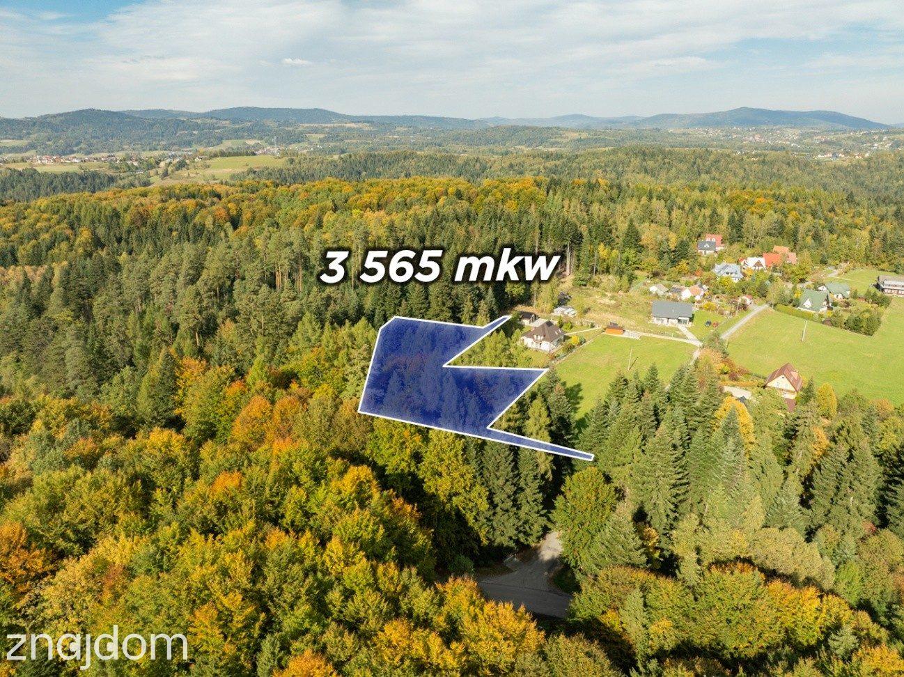 Działka Budowlana z Własnym LASEM–3565 M² JORDANÓW - zdjęcie 3