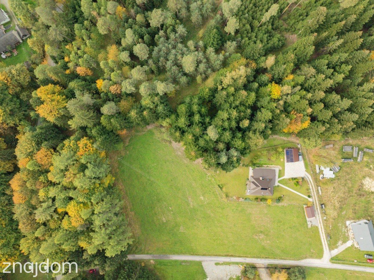 Działka Budowlana z Własnym LASEM–3565 M² JORDANÓW - zdjęcie 4