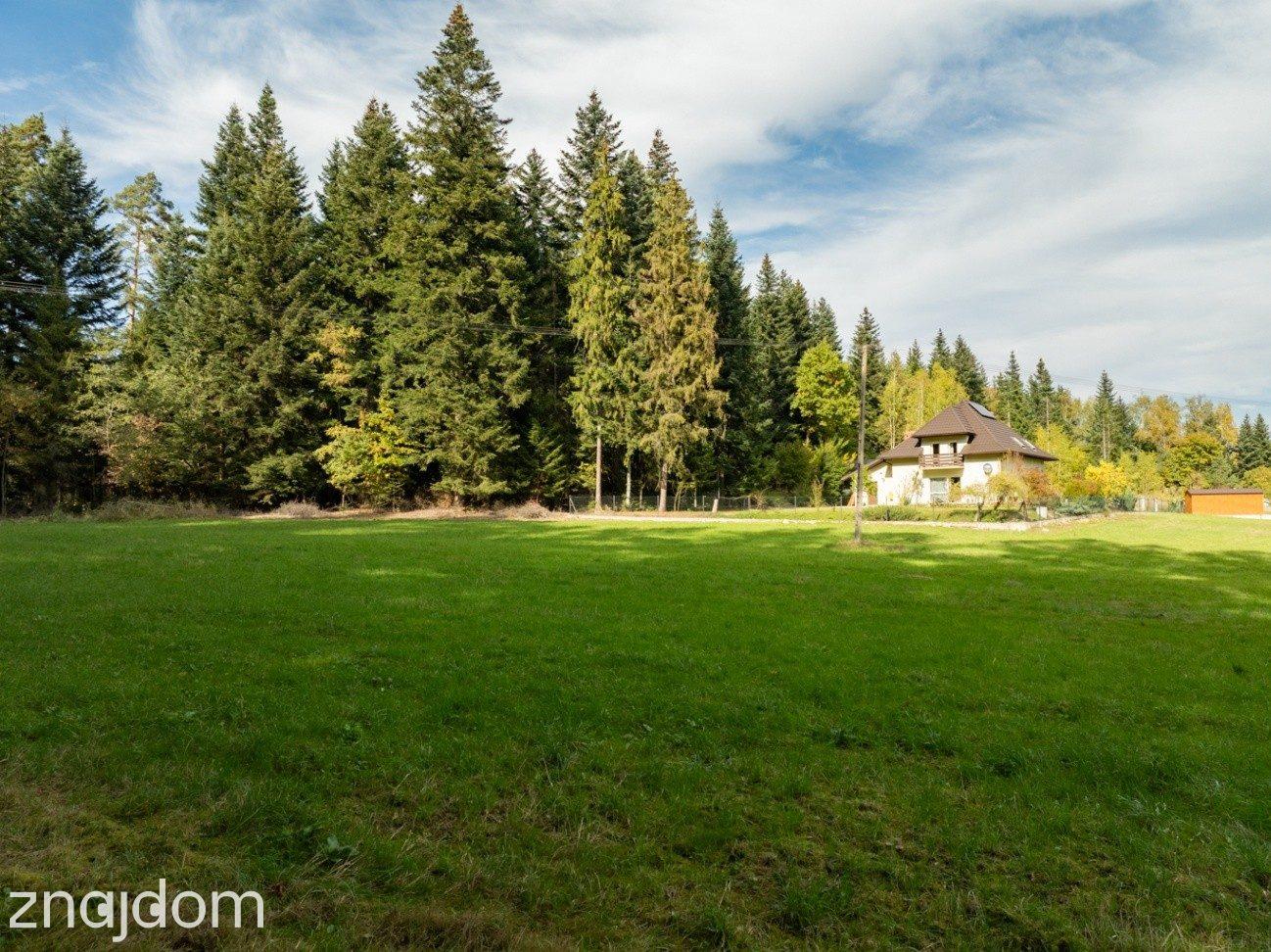 Działka Budowlana z Własnym LASEM–3565 M² JORDANÓW - zdjęcie 6
