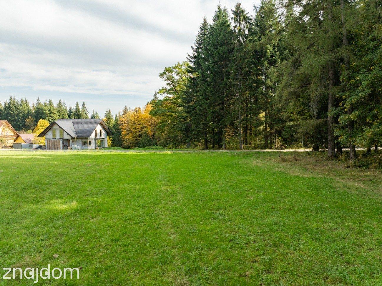 Działka Budowlana z Własnym LASEM–3565 M² JORDANÓW - zdjęcie 7