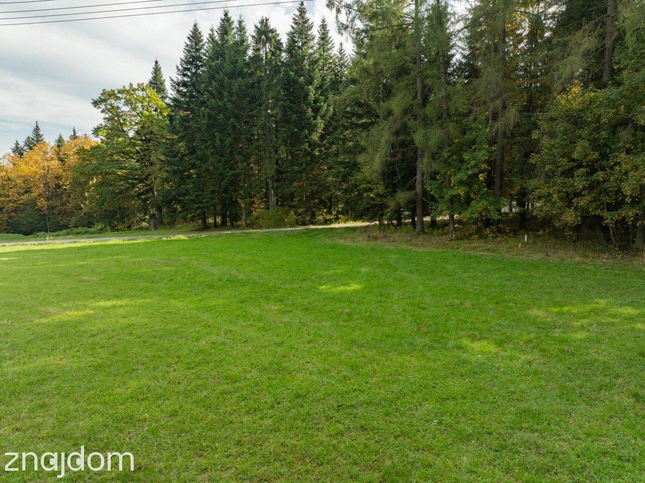 Działka Budowlana z Własnym LASEM–3565 M² JORDANÓW - zdjęcie 8
