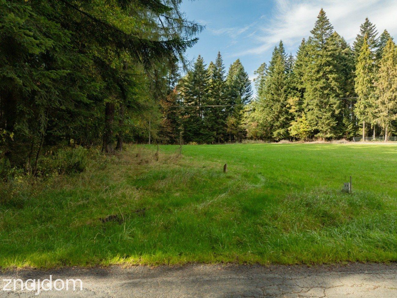 Działka Budowlana z Własnym LASEM–3565 M² JORDANÓW - zdjęcie 9