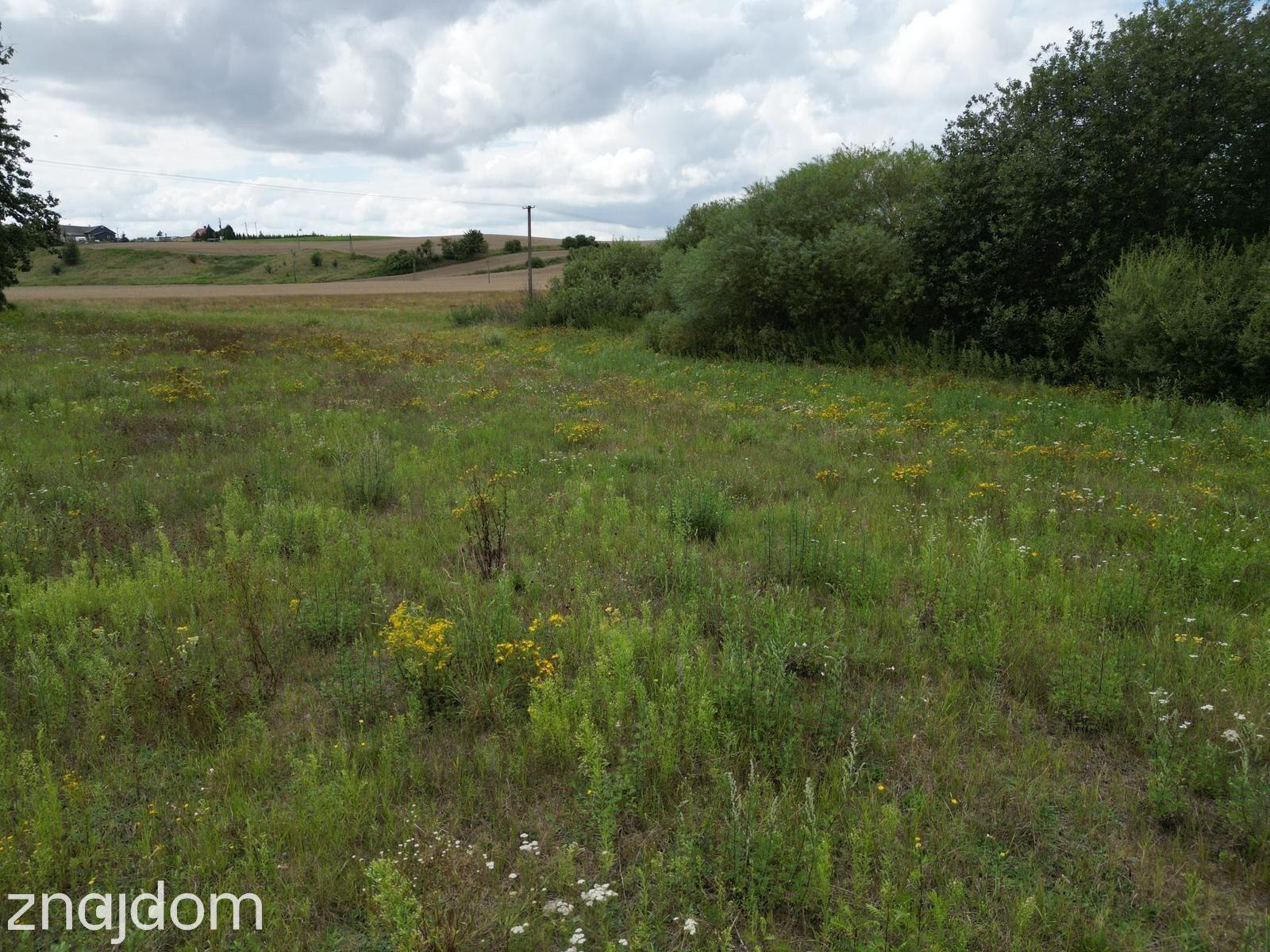 Działka 20 000 m² w Ełganowie - zdjęcie 2