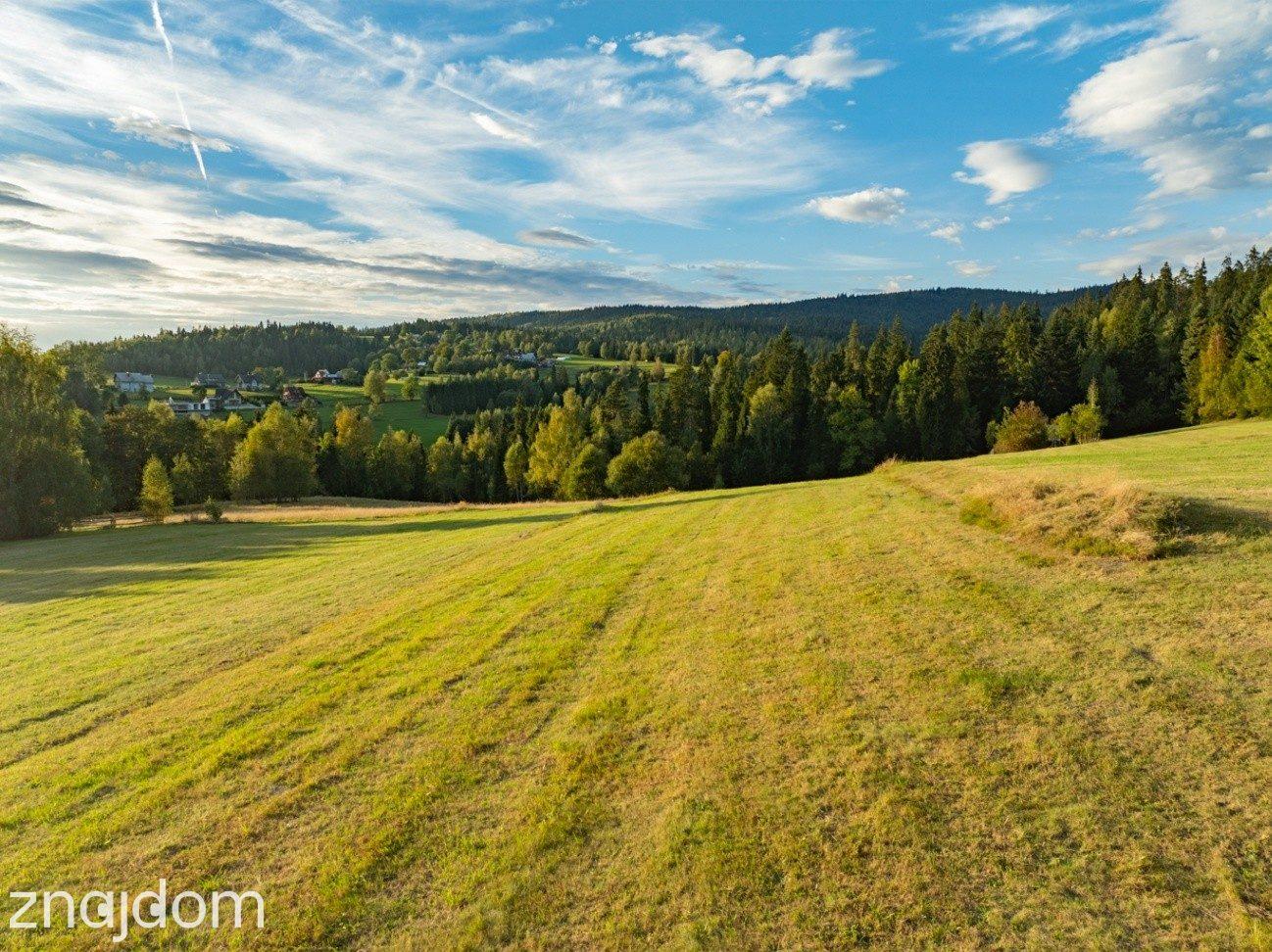 Nowy Targ - OS.SZUFLÓW| Działka budowlana 1302 m² MPZP - zdjęcie 4