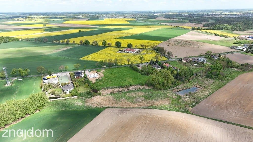 Działka inwestycyjna 9521m²–Napachanie blisko S11 - zdjęcie 10