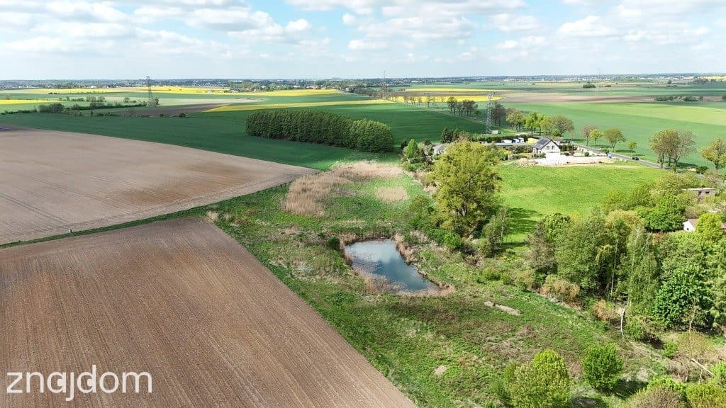Działka inwestycyjna 9521m²–Napachanie blisko S11 - zdjęcie 14