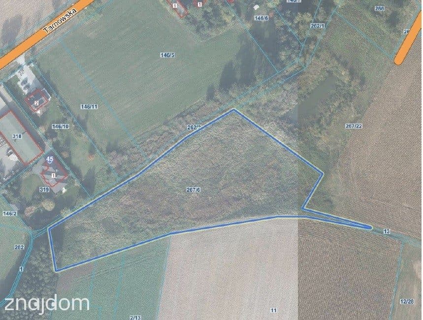Działka inwestycyjna 9521m²–Napachanie blisko S11 - zdjęcie 16