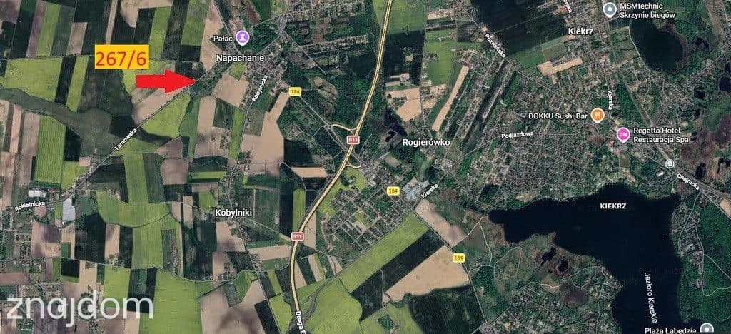 Działka inwestycyjna 9521m²–Napachanie blisko S11 - zdjęcie 17