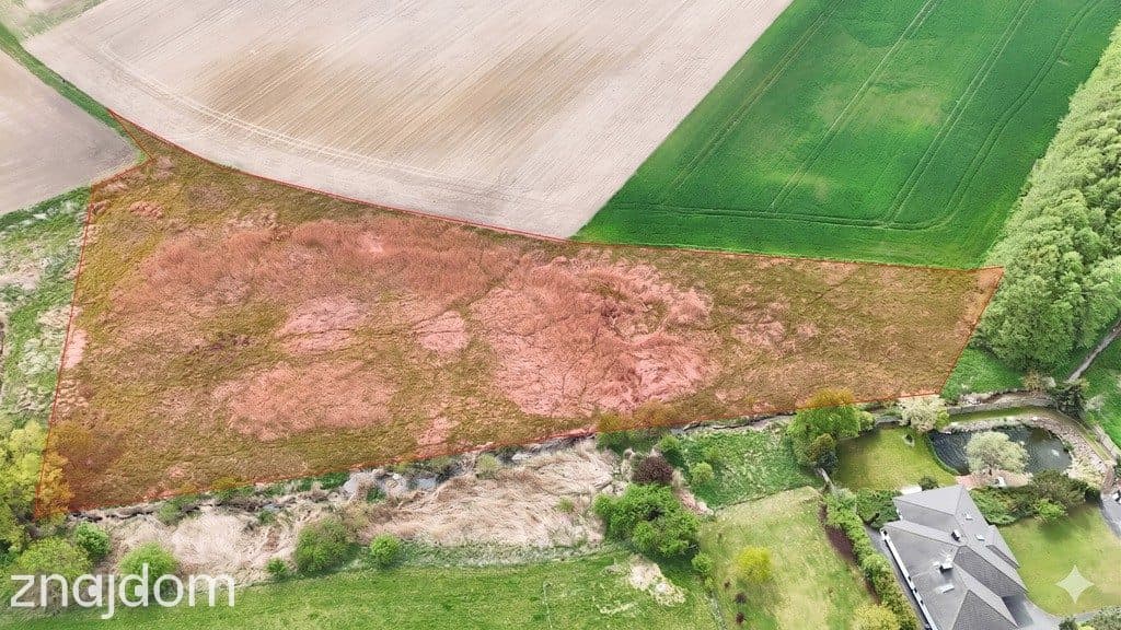 Działka inwestycyjna 9521m²–Napachanie blisko S11 - zdjęcie 5