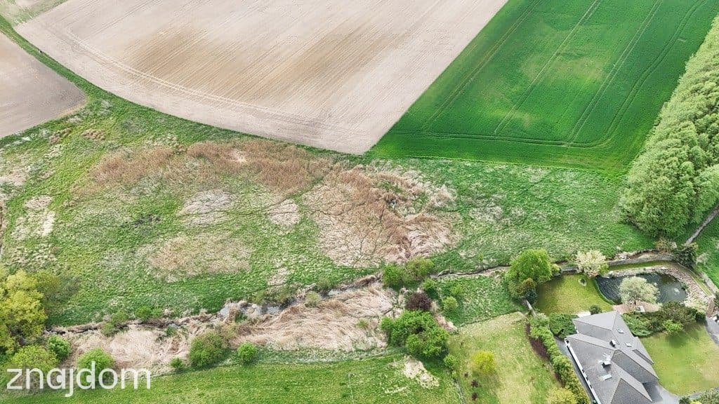 Działka inwestycyjna 9521m²–Napachanie blisko S11 - zdjęcie 6