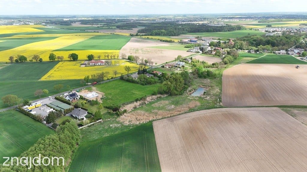 Działka inwestycyjna 9521m²–Napachanie blisko S11 - zdjęcie 7