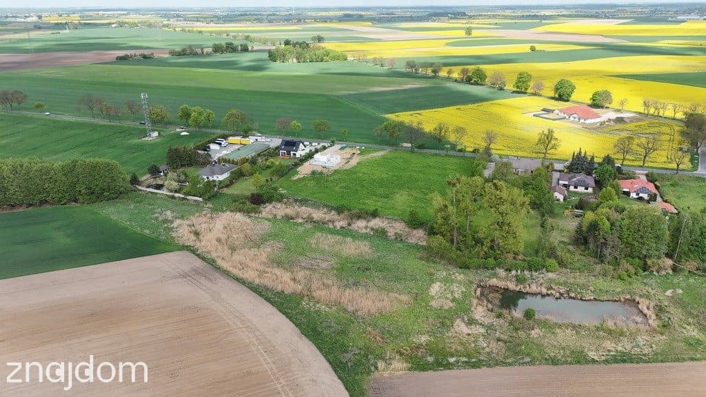Działka inwestycyjna 9521m²–Napachanie blisko S11 - zdjęcie 8