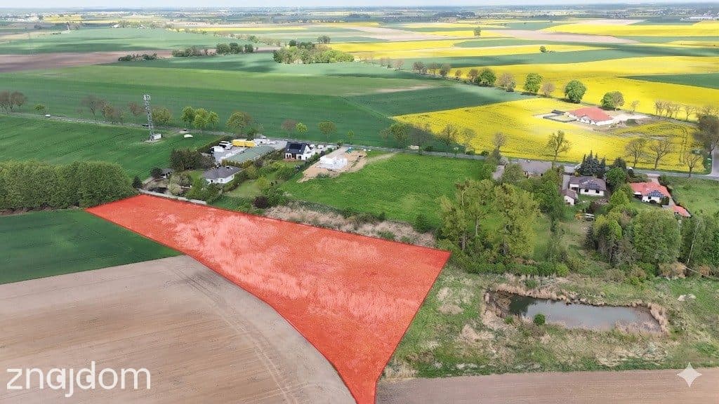 Działka inwestycyjna 9521m²–Napachanie blisko S11 - zdjęcie 9